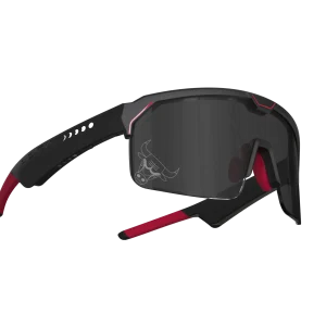 Music Shield G2 | Chicago Bulls