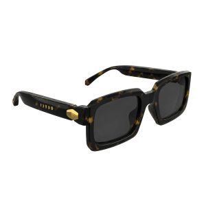 Infinity Tortoise